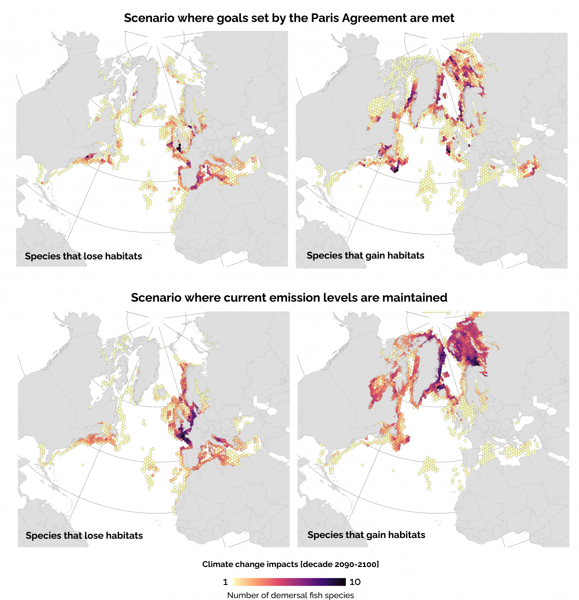 Species distribution models show that Paris Agreement benefits NAtlantic Fisheries